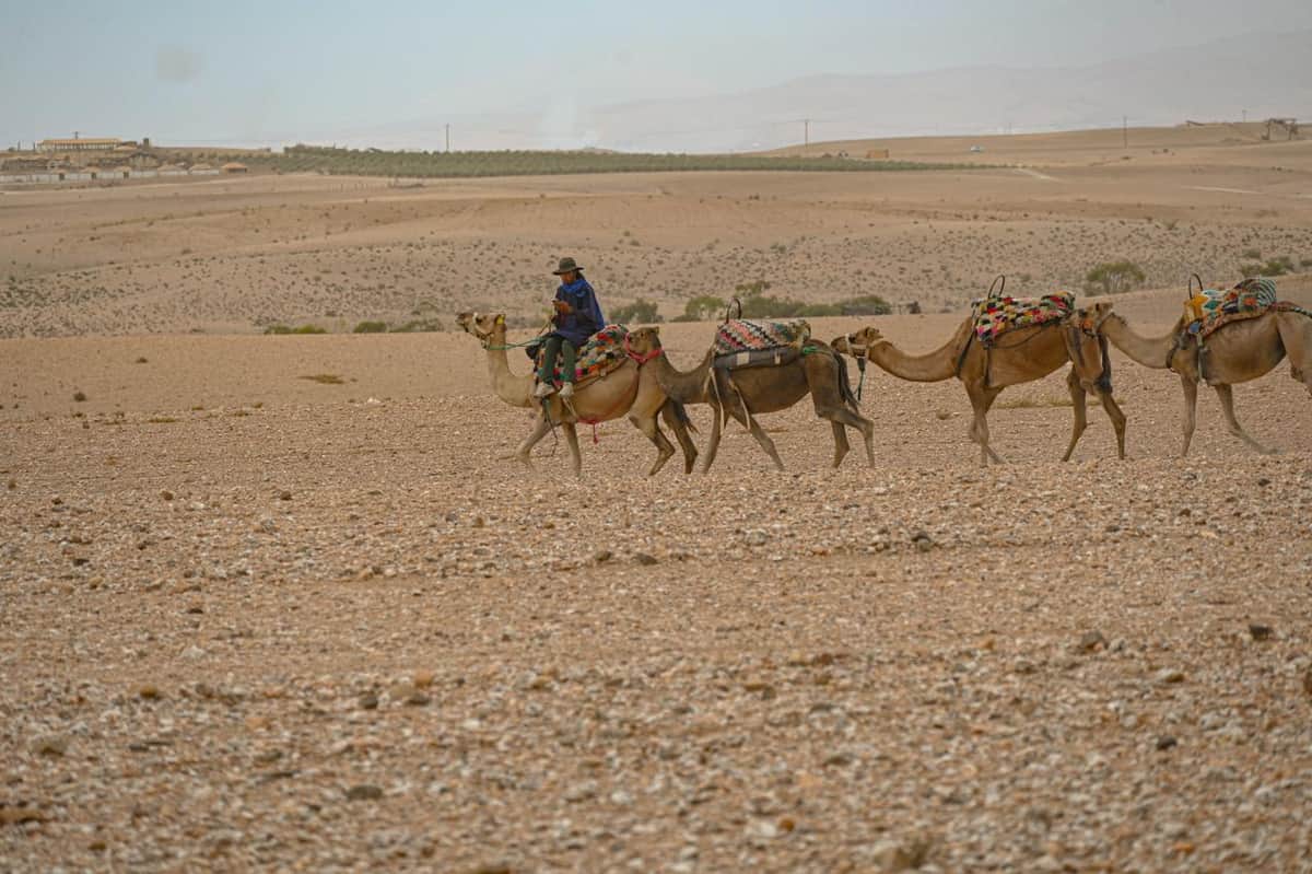 Photographier le Désert Marocain : Conseils de Pro